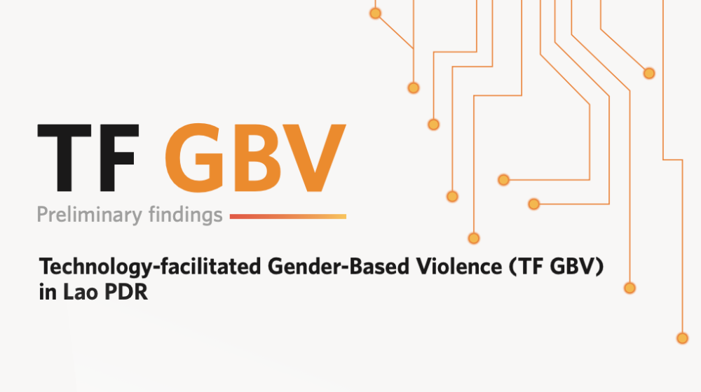 TF GBV Preliminary findings
