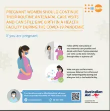 Maternal Health and Covid-19 Response Section2